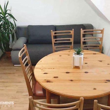 Huge Bbq Garden 2, Spacious Flat, Ac, Free Parking 2 Ljubljana Buitenkant foto