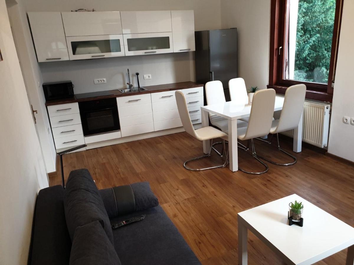 Huge Bbq Garden 2, Spacious Flat, Ac, Free Parking 2 Ljubljana Buitenkant foto