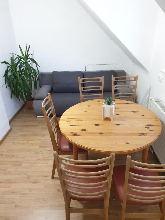 Huge Bbq Garden 2, Spacious Flat, Ac, Free Parking 2 Ljubljana Buitenkant foto