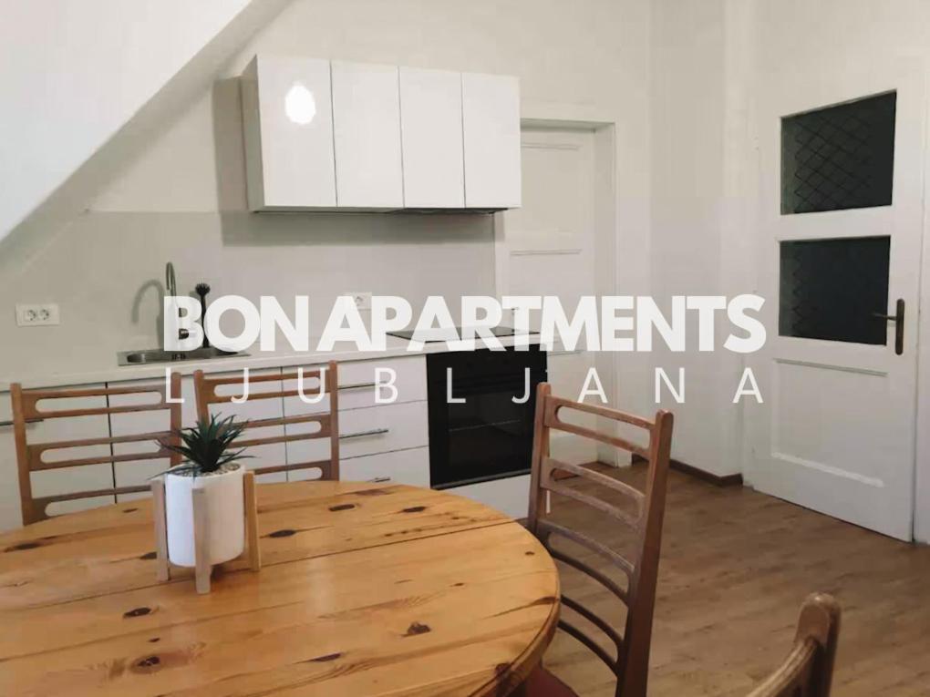 Huge Bbq Garden 2, Spacious Flat, Ac, Free Parking 2 Ljubljana Buitenkant foto